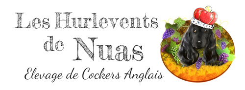 Les Hurlevents de Nuas